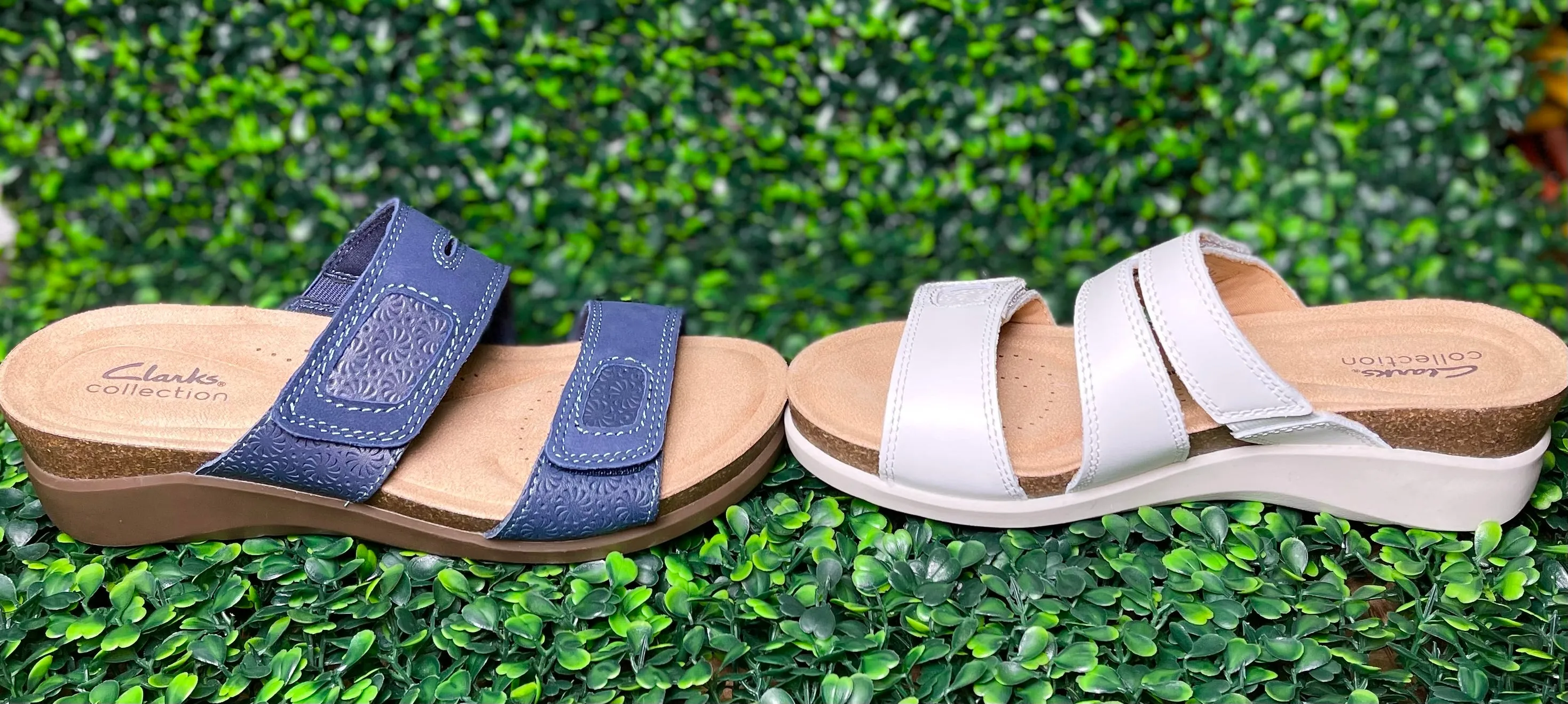 Clarks-Calenne Maye