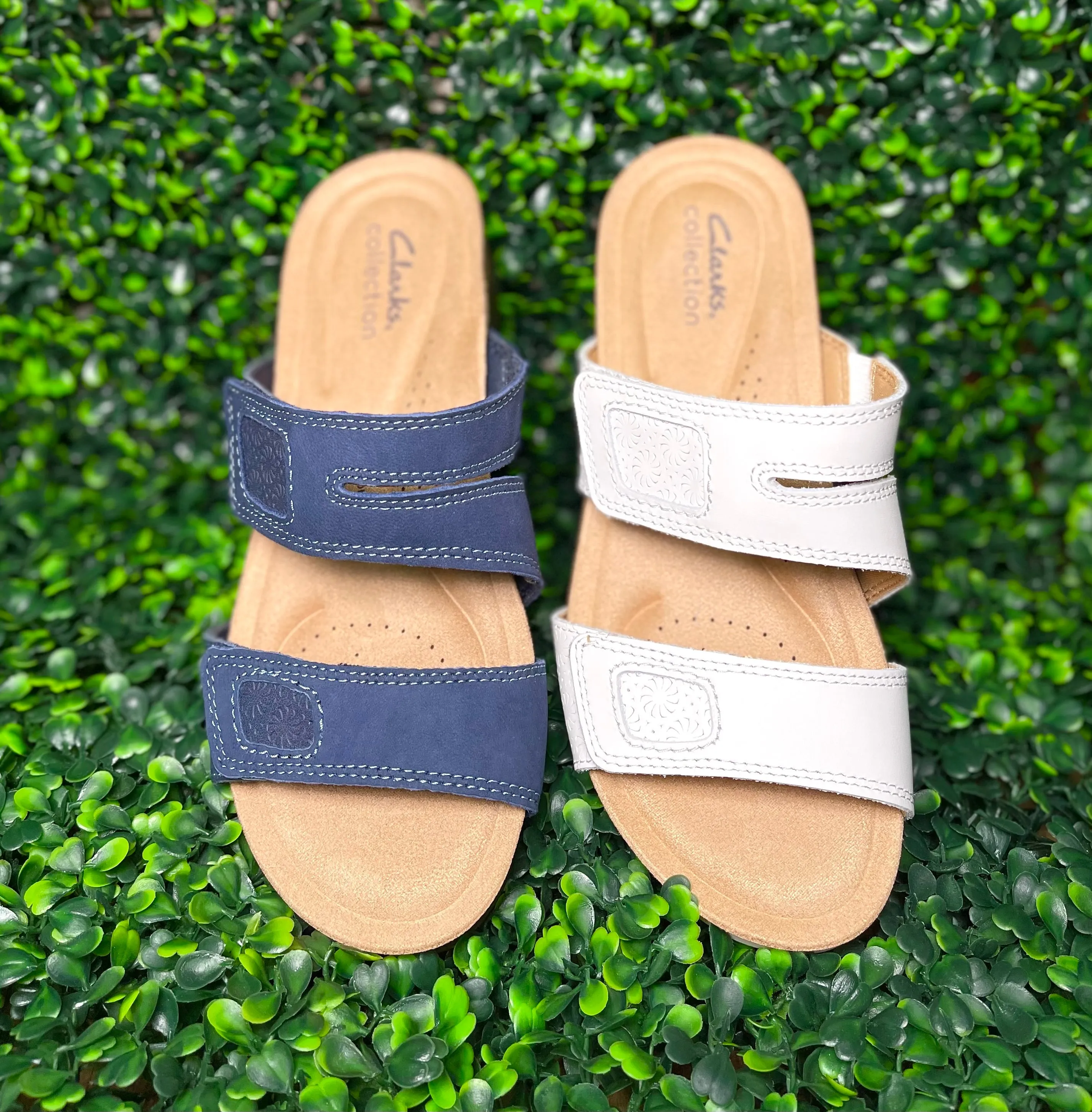 Clarks-Calenne Maye
