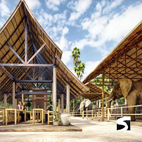 Elephant Shelter Feeding Activity Koh Samui For Cruise Ship Guests