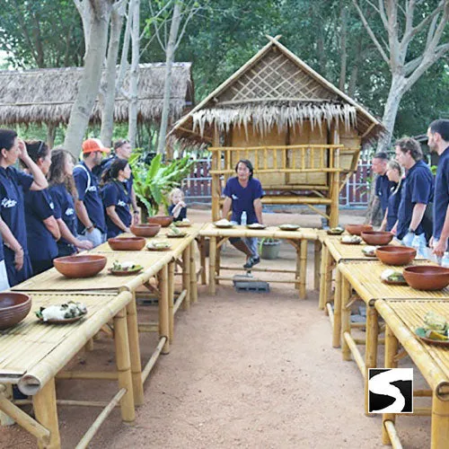 Elephant Shelter Feeding Activity Koh Samui For Cruise Ship Guests