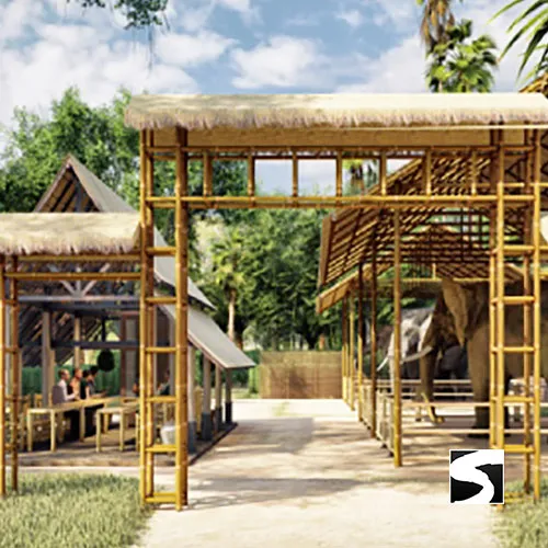 Elephant Shelter Feeding Activity Koh Samui For Cruise Ship Guests