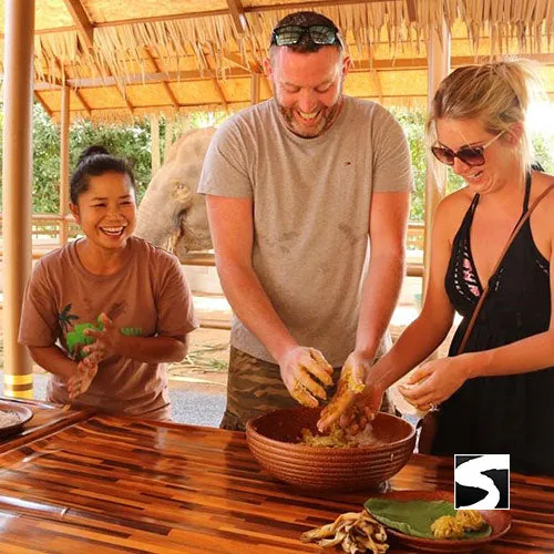 Elephant Shelter Feeding Activity Koh Samui For Cruise Ship Guests