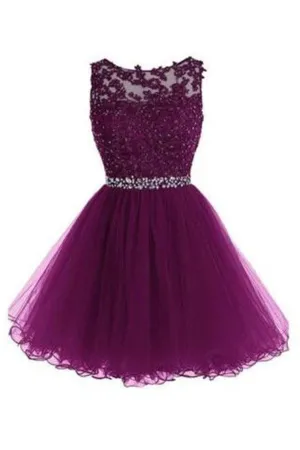 Scoop Short Grape Zipper-up Tulle Homecoming Dresses  TR0017