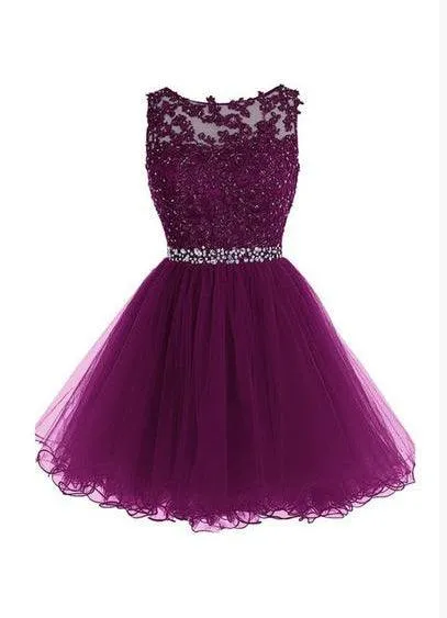 Scoop Short Grape Zipper-up Tulle Homecoming Dresses  TR0017