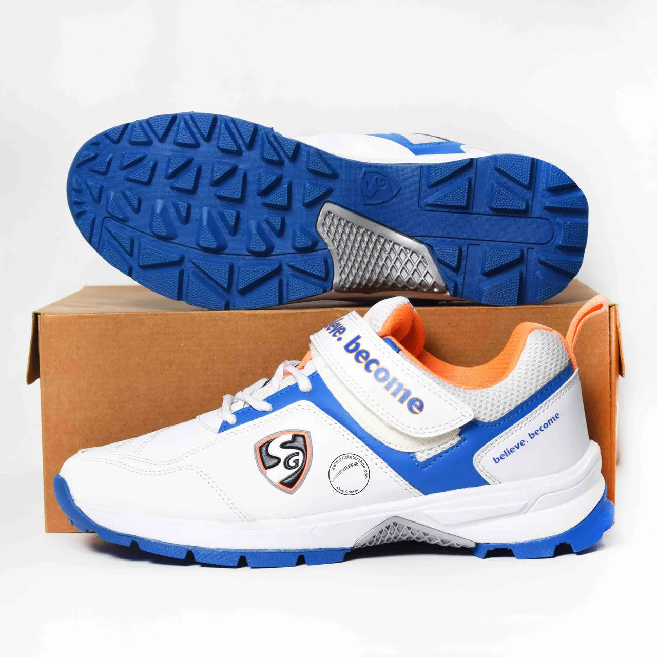 SG Century 6.0 Cricket Shoes Colour
