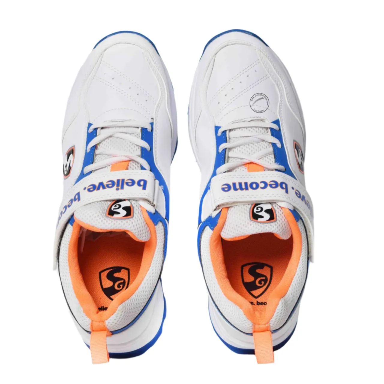 SG Century 6.0 Cricket Shoes Colour